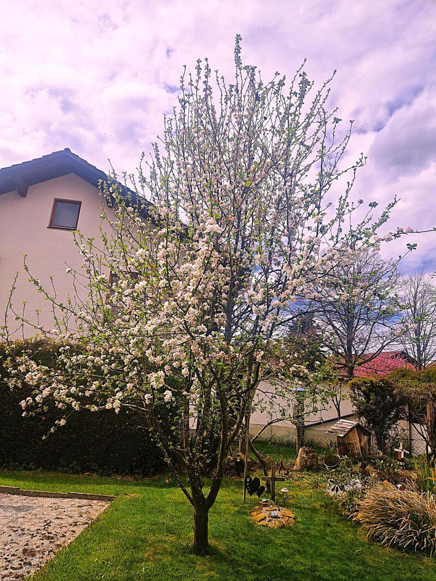 Pension Landhaus Koller - Adults Only Bodenmais Exterior photo
